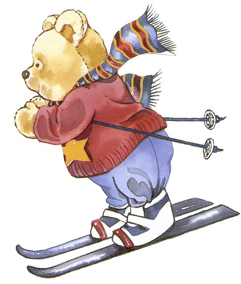 Ski Bear